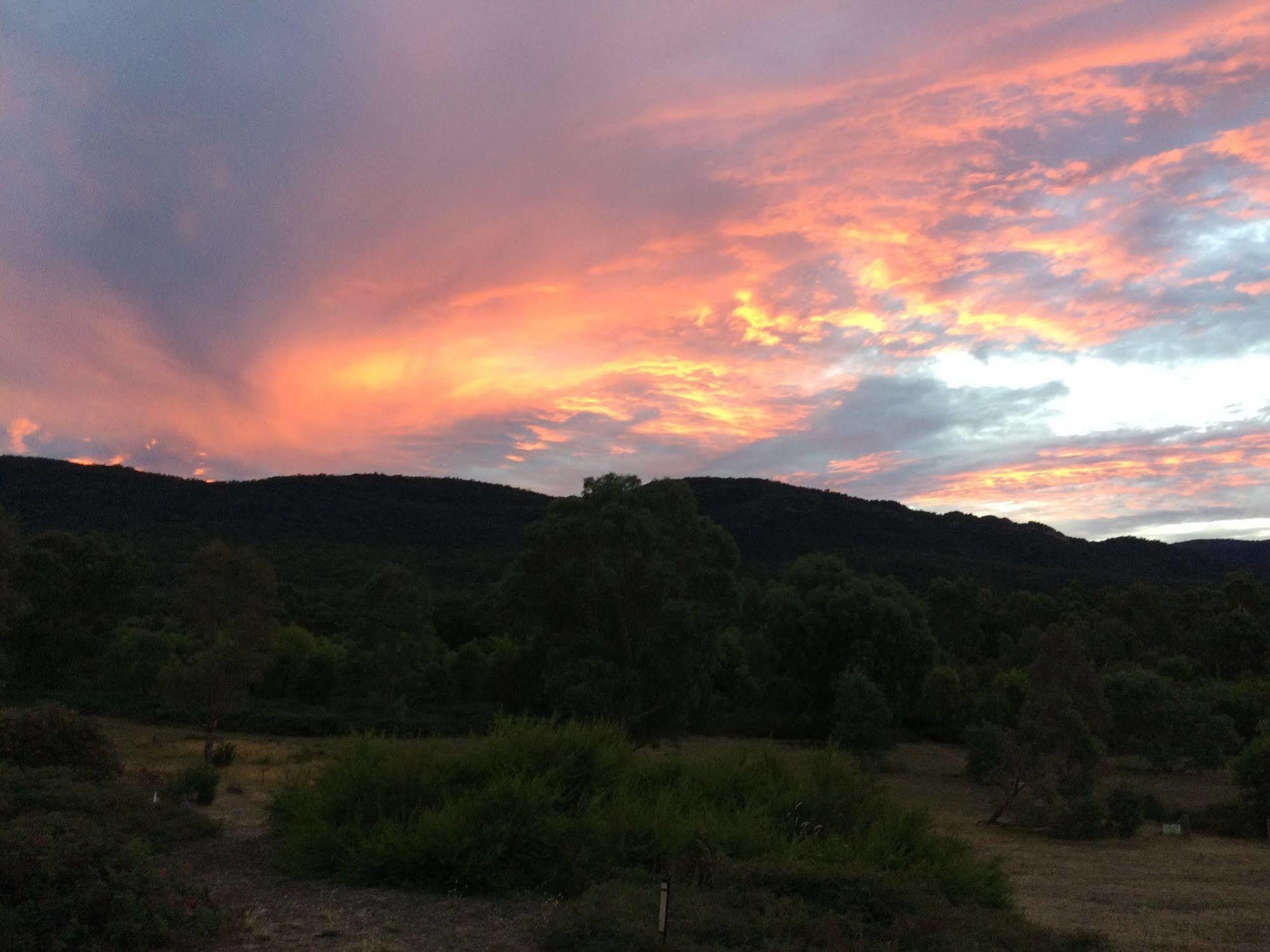 Grampians Pioneer Cottages 홀스갭 외부 사진